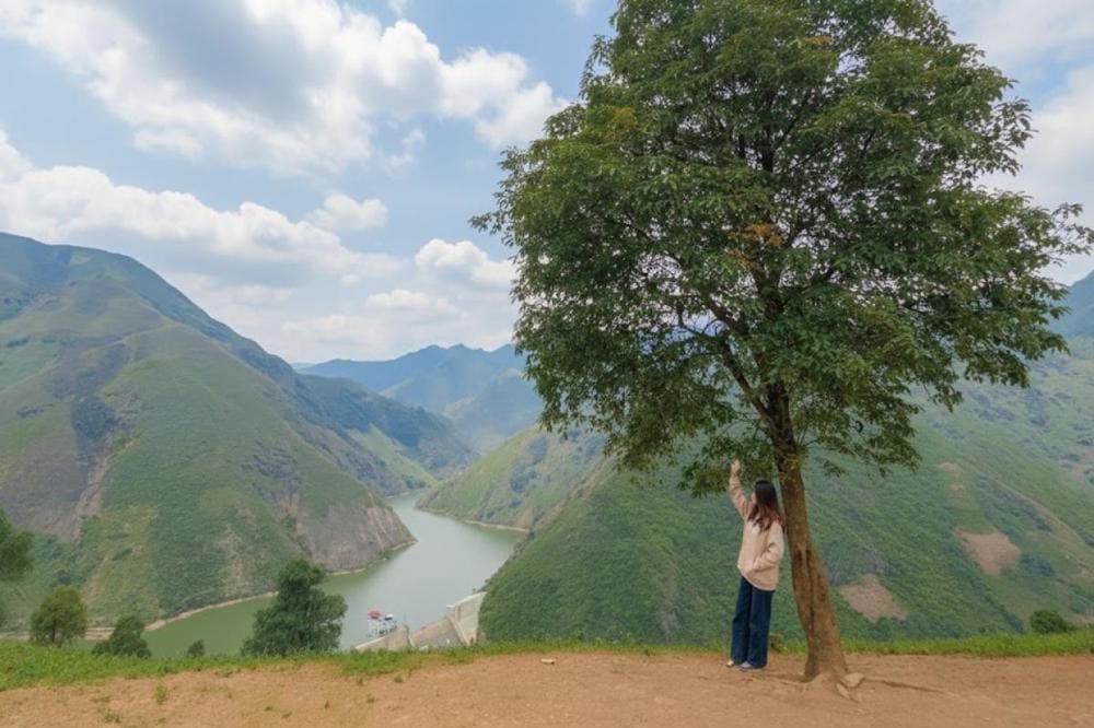 Du kh&aacute;ch check-in si&ecirc;u nghệ c&ugrave;ng c&acirc;y C&ocirc; Đơn